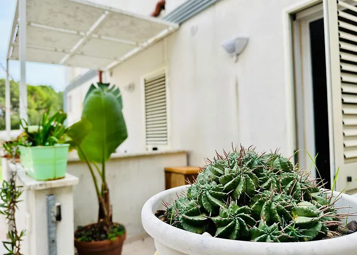 La Casa Di Chiara By Professione Vacanze Апартаменти