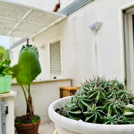 La Casa Di Chiara Appartamento